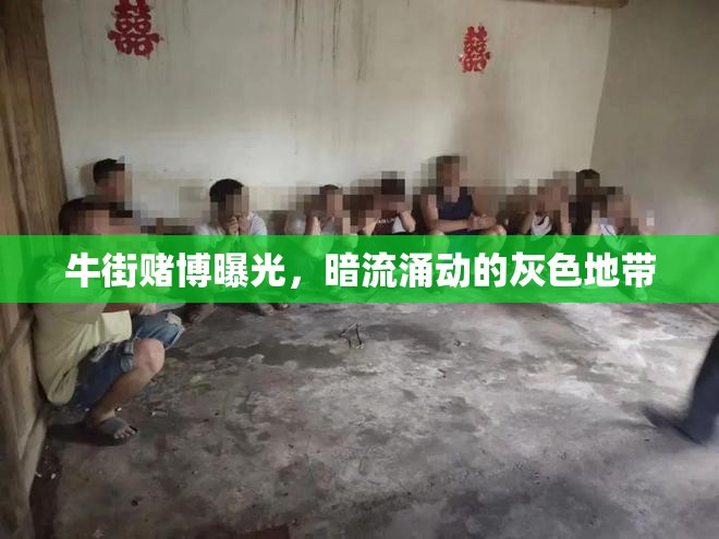 牛街賭博曝光，暗流涌動的灰色地帶