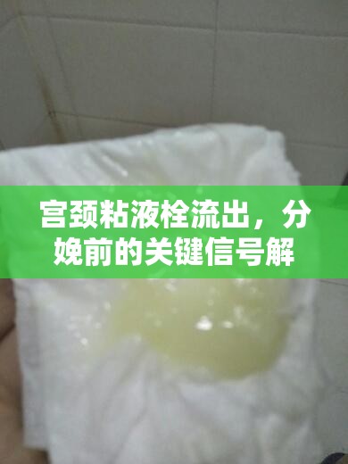 宮頸粘液栓流出，分娩前的關(guān)鍵信號解讀