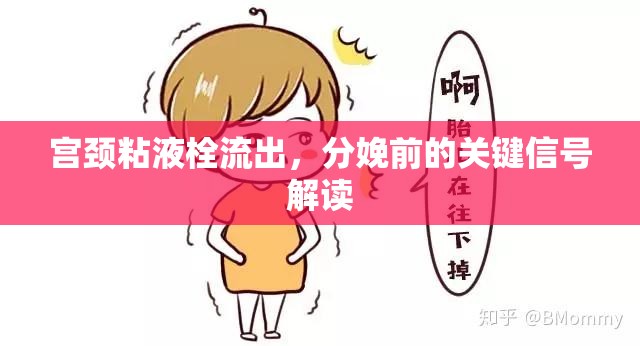宮頸粘液栓流出，分娩前的關(guān)鍵信號解讀