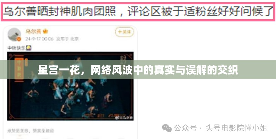 星宮一花，網絡風波中的真實與誤解的交織