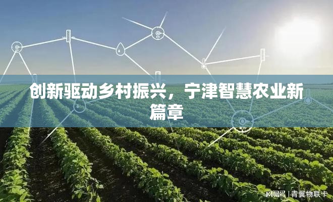 創(chuàng)新驅(qū)動鄉(xiāng)村振興，寧津智慧農(nóng)業(yè)新篇章