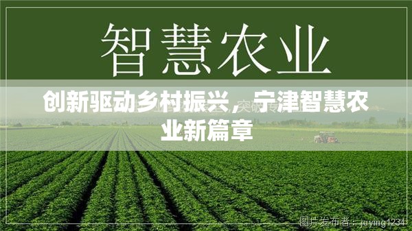 創(chuàng)新驅(qū)動鄉(xiāng)村振興，寧津智慧農(nóng)業(yè)新篇章