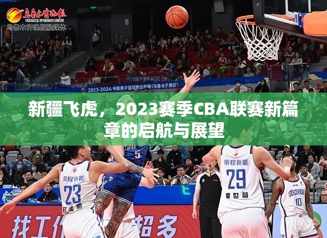 新疆飛虎，2023賽季CBA聯(lián)賽新篇章的啟航與展望