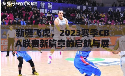 新疆飛虎，2023賽季CBA聯(lián)賽新篇章的啟航與展望