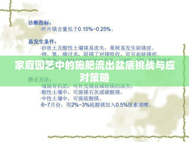 家庭園藝中的施肥流出盆底挑戰(zhàn)與應(yīng)對策略