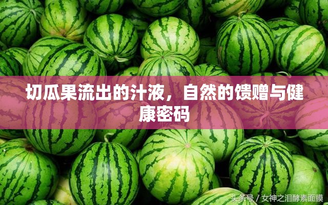 切瓜果流出的汁液，自然的饋贈(zèng)與健康密碼