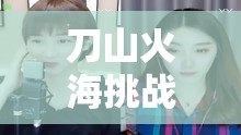刀山火海挑戰(zhàn)與女主播魅力，網(wǎng)絡(luò)直播新紀(jì)元中的勇氣與魅力較量