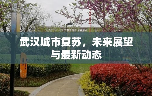武漢城市復(fù)蘇，未來(lái)展望與最新動(dòng)態(tài)