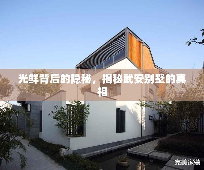 光鮮背后的隱秘，揭秘武安別墅的真相