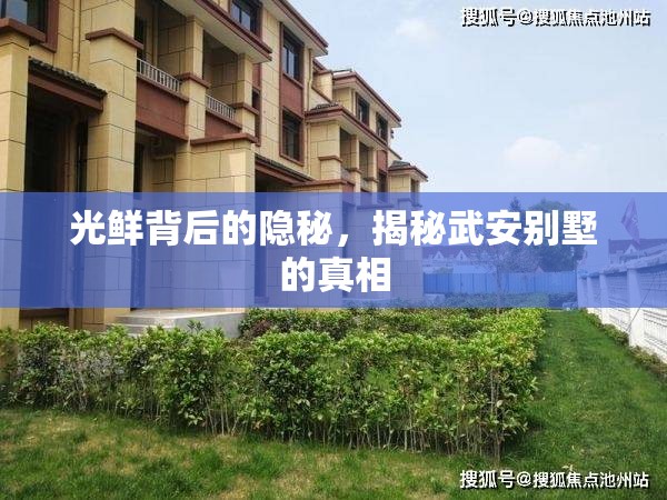 光鮮背后的隱秘，揭秘武安別墅的真相