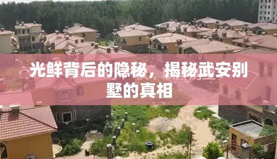 光鮮背后的隱秘，揭秘武安別墅的真相