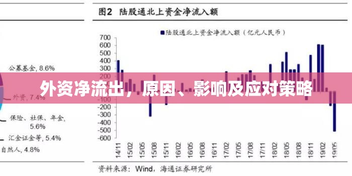 外資凈流出，原因、影響及應(yīng)對策略