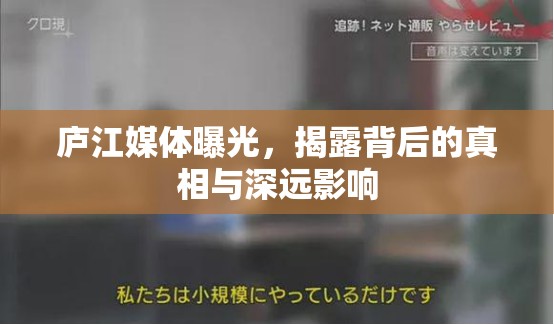 廬江媒體曝光，揭露背后的真相與深遠(yuǎn)影響