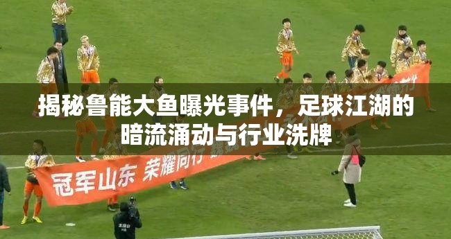 揭秘魯能大魚曝光事件，足球江湖的暗流涌動(dòng)與行業(yè)洗牌