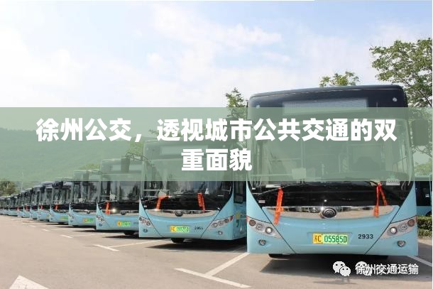 徐州公交，透視城市公共交通的雙重面貌