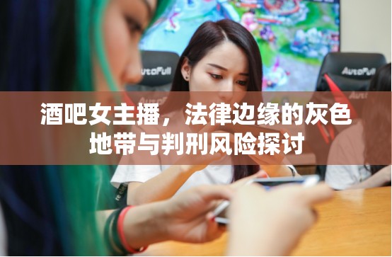 酒吧女主播，法律邊緣的灰色地帶與判刑風(fēng)險探討