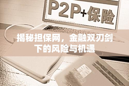 揭秘?fù)?dān)保網(wǎng)，金融雙刃劍下的風(fēng)險與機遇