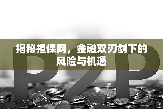 揭秘?fù)?dān)保網(wǎng)，金融雙刃劍下的風(fēng)險與機遇