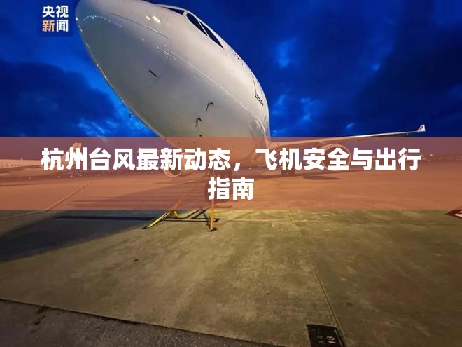 杭州臺風(fēng)最新動態(tài)，飛機安全與出行指南