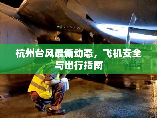 杭州臺風(fēng)最新動態(tài)，飛機安全與出行指南