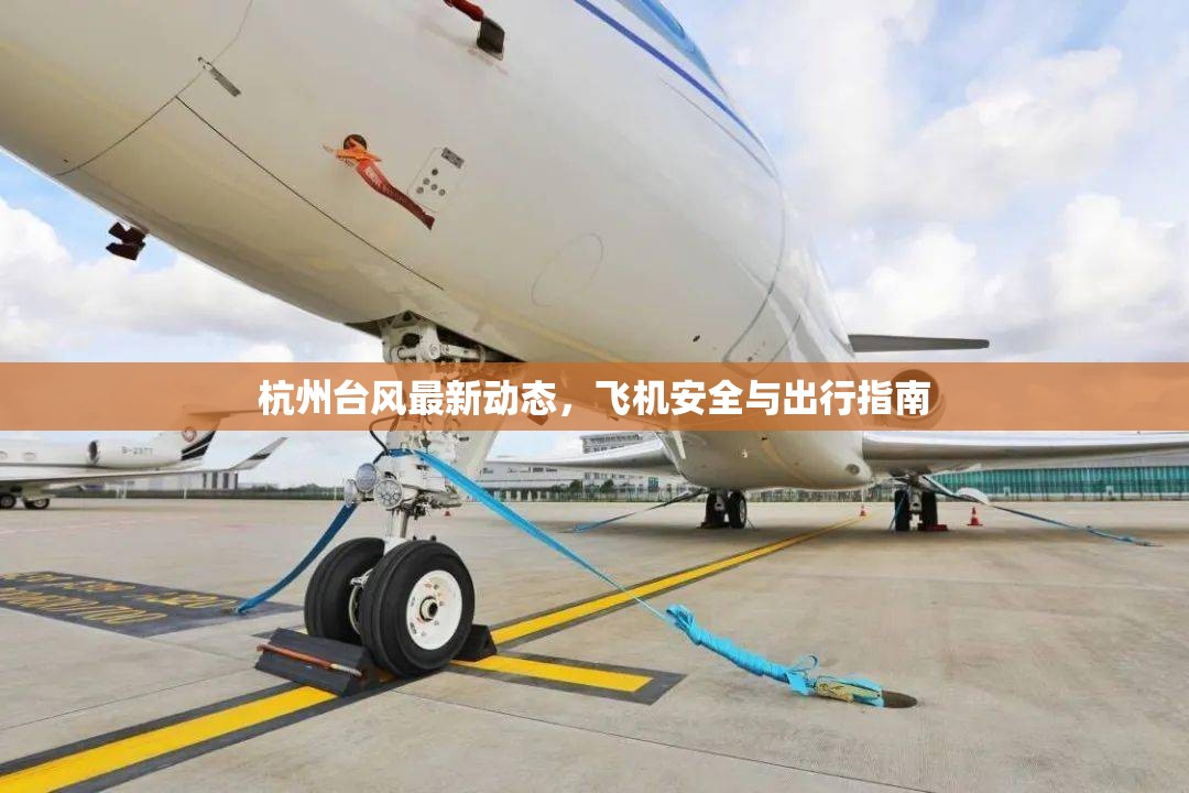杭州臺風(fēng)最新動態(tài)，飛機安全與出行指南