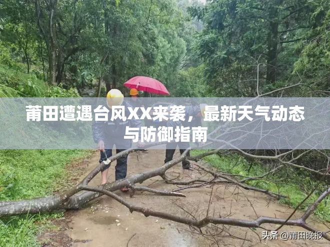 莆田遭遇臺(tái)風(fēng)XX來襲，最新天氣動(dòng)態(tài)與防御指南