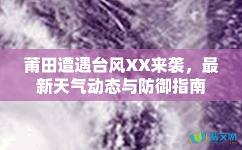 莆田遭遇臺(tái)風(fēng)XX來襲，最新天氣動(dòng)態(tài)與防御指南