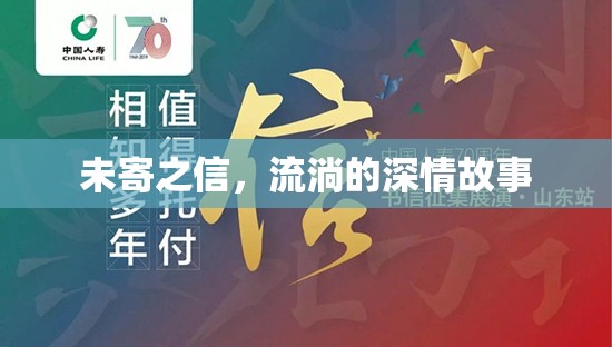 未寄之信，流淌的深情故事
