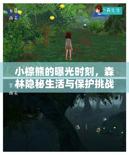 小棕熊的曝光時(shí)刻，森林隱秘生活與保護(hù)挑戰(zhàn)