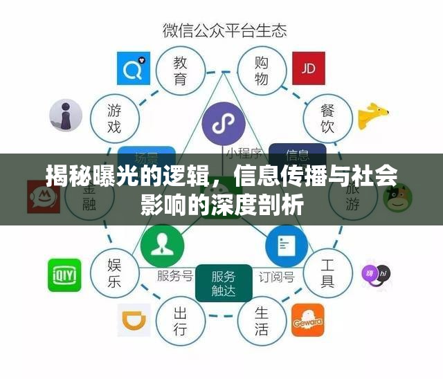 揭秘曝光的邏輯，信息傳播與社會影響的深度剖析