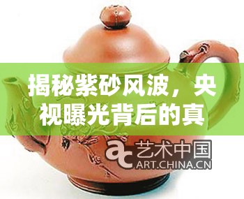 揭秘紫砂風(fēng)波，央視曝光背后的真相與反思