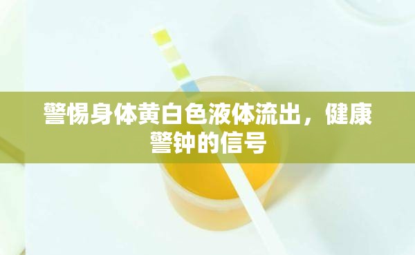 警惕身體黃白色液體流出，健康警鐘的信號