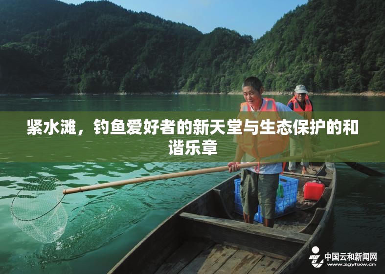 緊水灘，釣魚愛好者的新天堂與生態(tài)保護(hù)的和諧樂章