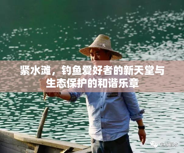 緊水灘，釣魚愛好者的新天堂與生態(tài)保護(hù)的和諧樂章