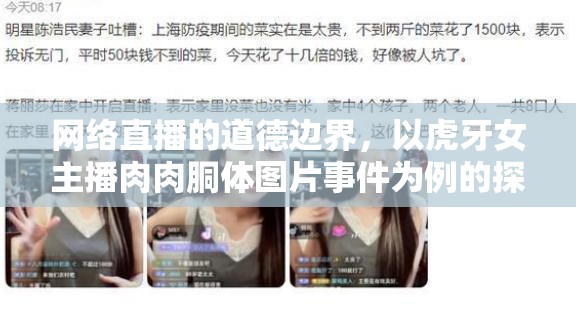 網(wǎng)絡(luò)直播的道德邊界，以虎牙女主播肉肉胴體圖片事件為例的探討