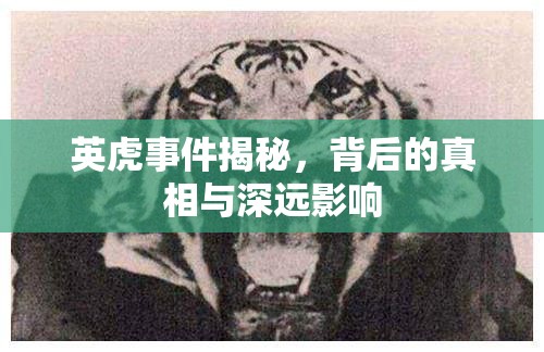 英虎事件揭秘，背后的真相與深遠影響
