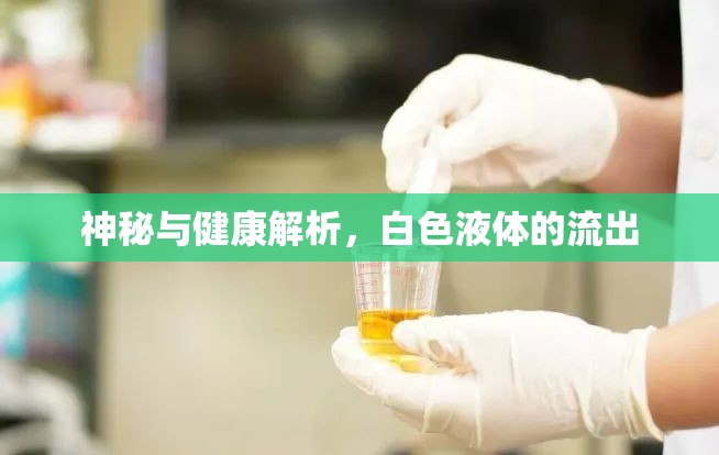 神秘與健康解析，白色液體的流出
