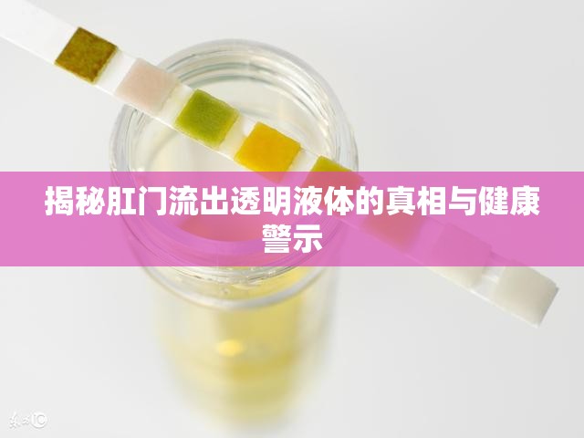 揭秘肛門(mén)流出透明液體的真相與健康警示