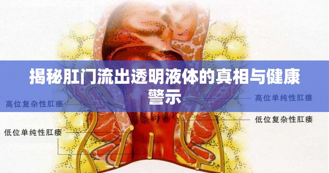 揭秘肛門(mén)流出透明液體的真相與健康警示