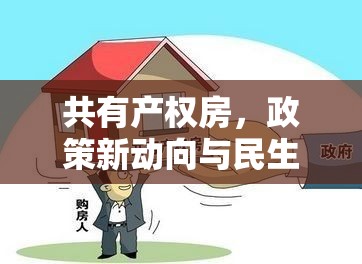 共有產(chǎn)權(quán)房，政策新動(dòng)向與民生福祉的深度融合