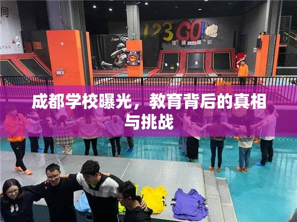 成都學(xué)校曝光，教育背后的真相與挑戰(zhàn)