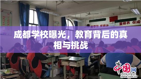 成都學(xué)校曝光，教育背后的真相與挑戰(zhàn)