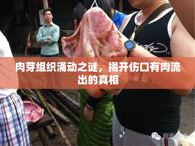 肉芽組織涌動之謎，揭開傷口有肉流出的真相
