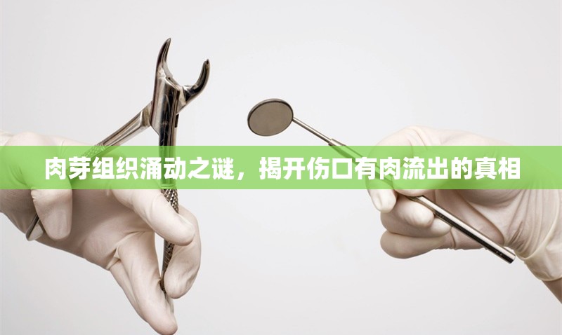 肉芽組織涌動之謎，揭開傷口有肉流出的真相