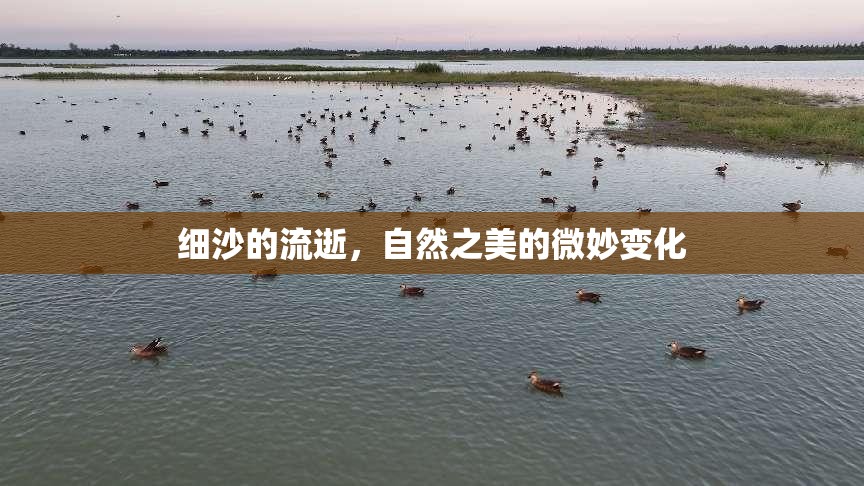 細(xì)沙的流逝，自然之美的微妙變化