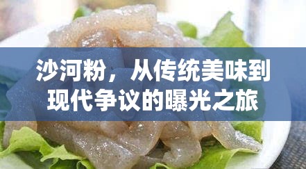 沙河粉，從傳統(tǒng)美味到現(xiàn)代爭(zhēng)議的曝光之旅