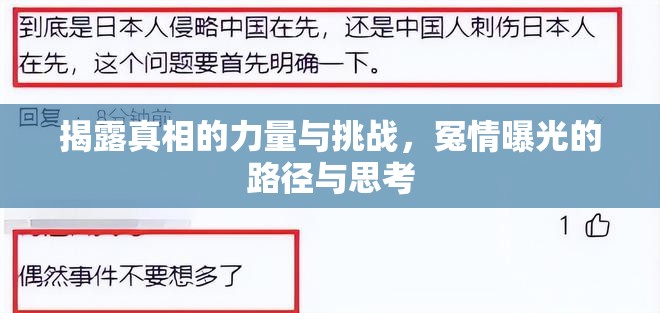 揭露真相的力量與挑戰(zhàn)，冤情曝光的路徑與思考