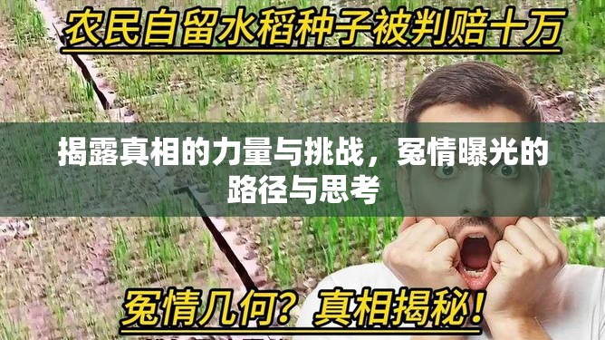 揭露真相的力量與挑戰(zhàn)，冤情曝光的路徑與思考