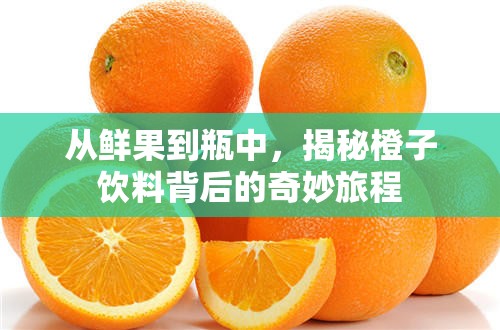 從鮮果到瓶中，揭秘橙子飲料背后的奇妙旅程