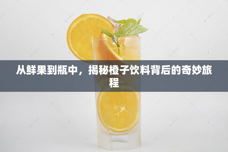 從鮮果到瓶中，揭秘橙子飲料背后的奇妙旅程